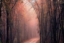 开云体育app-曼联主场氛围火爆，球迷热情助阵