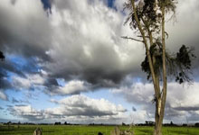 开云体育下载-阿尔希拉尔调整后防线，迎战欧洲豪门难度加大