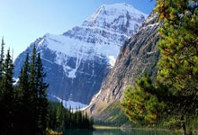 开云体育官网-蒙特雷全队士气高昂，冲击世俱杯更高荣誉