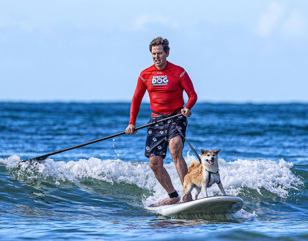 开云体育官方网站-澳大利亚运动员获得冲浪比赛冠军