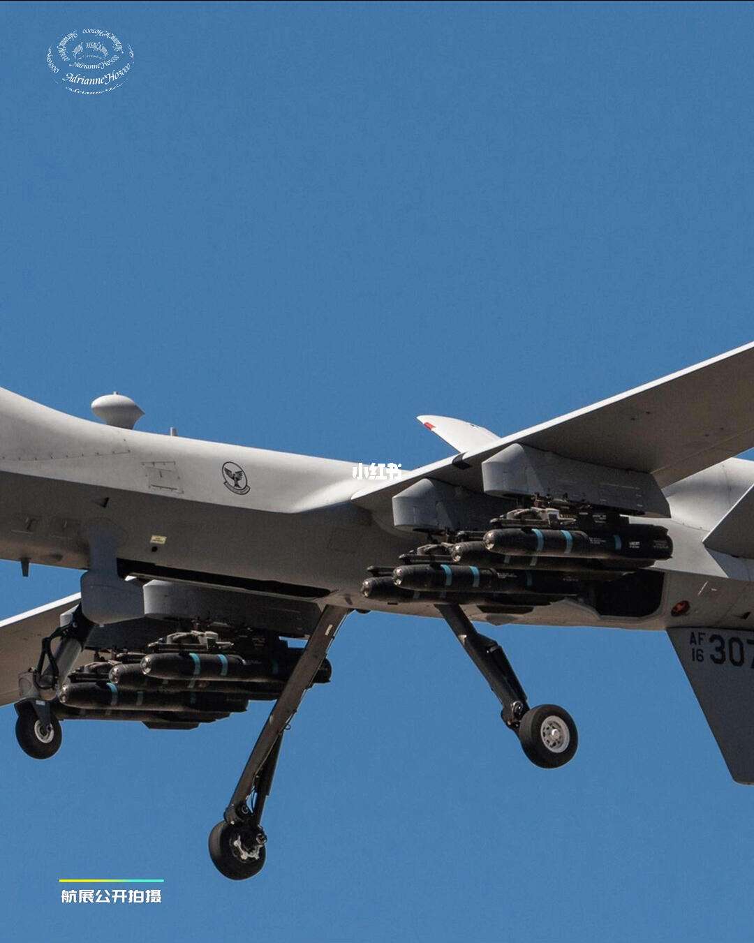 斯图加特边锋速度惊人,成为攻击利器的简单介绍 斯图加特边锋速度惊人,成为攻击利器的简单介绍