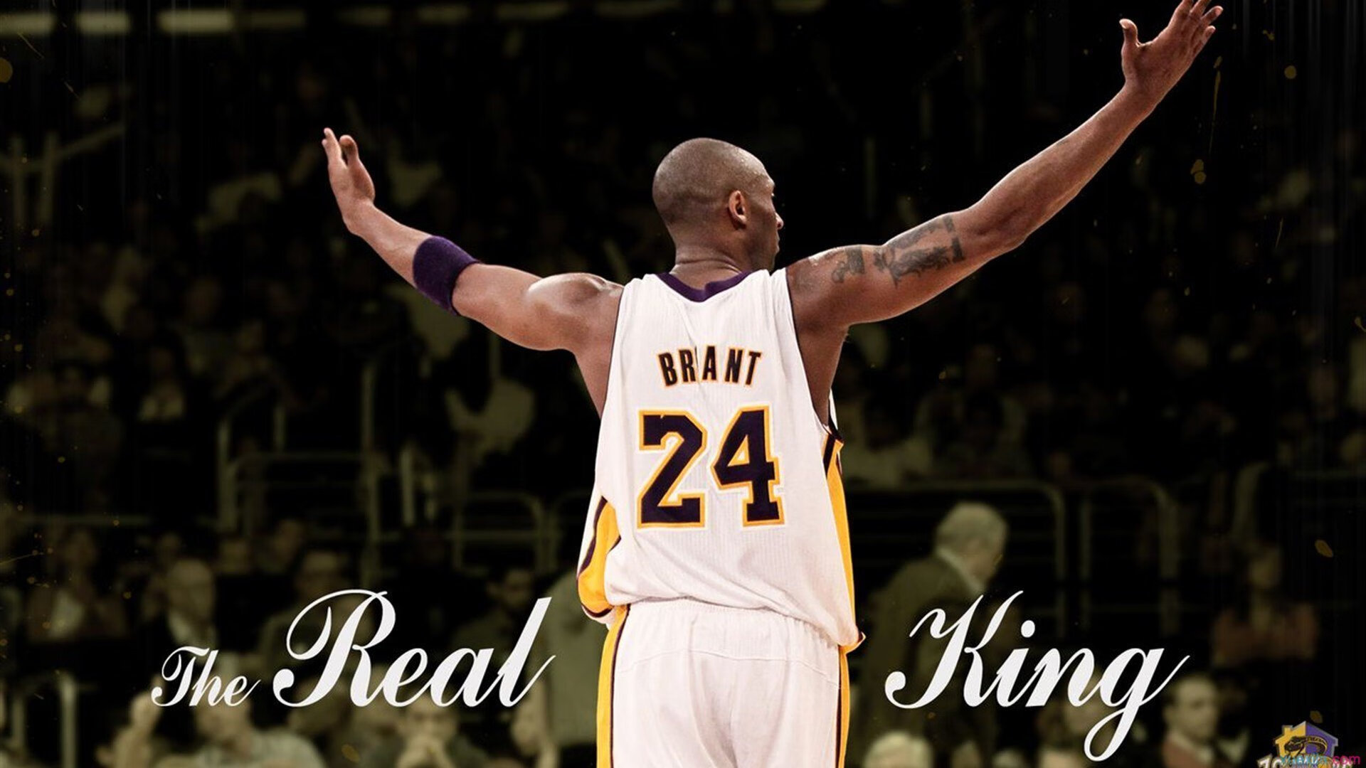 雄鹿对阵独行侠，浓眉主宰比赛走向