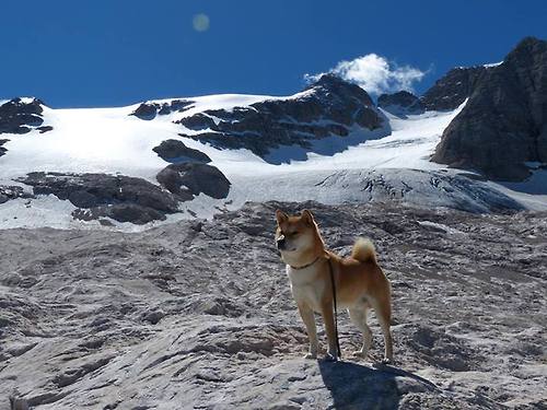 范氏方程无解,西甲国家德比之夜的战术谜题