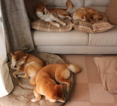 开云体育-三分雨淹没盐湖城！绿军破爵士创联盟客场纪录，塔图姆35分定乾坤