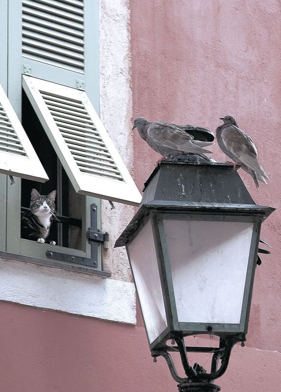 开云体育中国-班凯罗狂轰40+15，北京队加时险胜奇才，引爆五棵松！