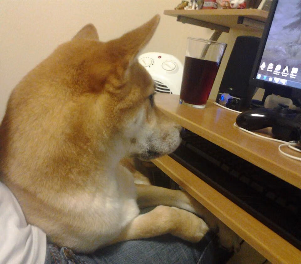 开云体育下载-数据炸弹引爆悬念之夜，德里赫特全维爆发，委内瑞拉提前终结，毕尔巴鄂的启示