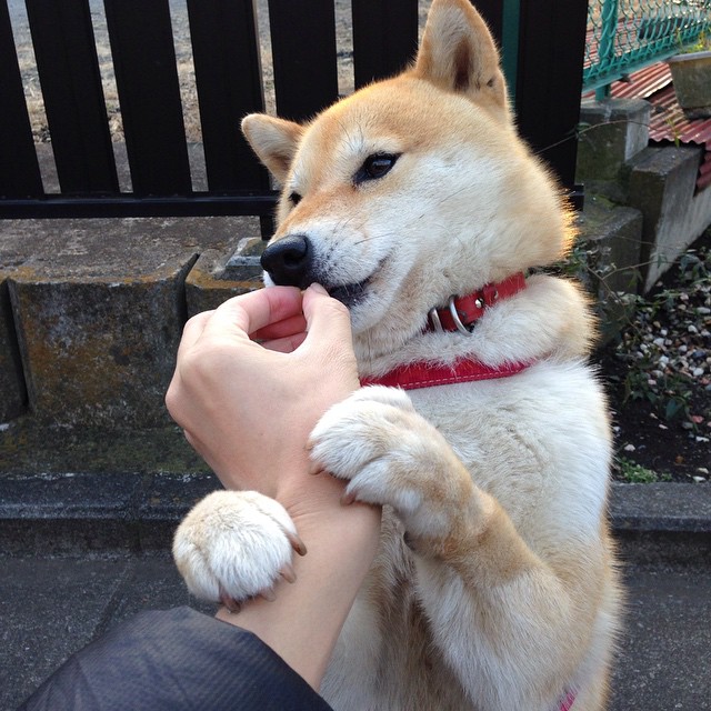 步行者全面压制独行侠，杜兰特关键先生闪耀定胜局