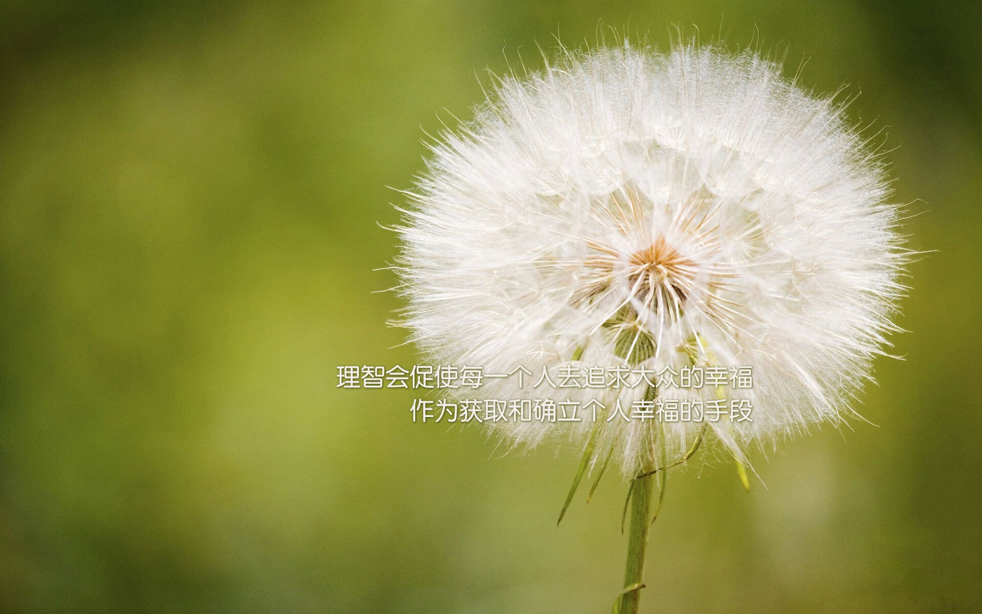 广东队对阵76人，杜兰特的无解之刃，篮球世界的虚拟交锋