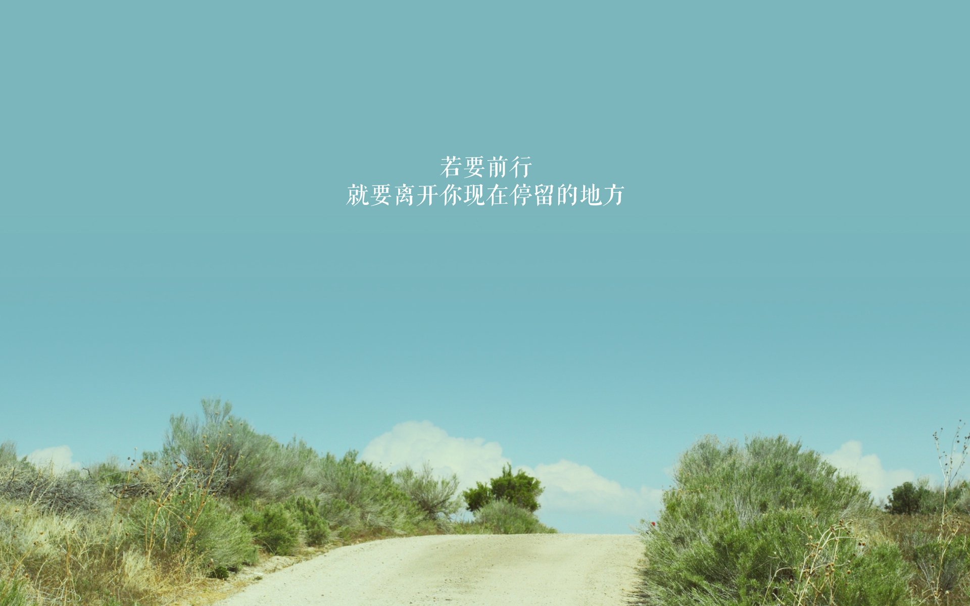 罗德里定义现代中场，美国对阵埃及一役展现教科书级掌控力