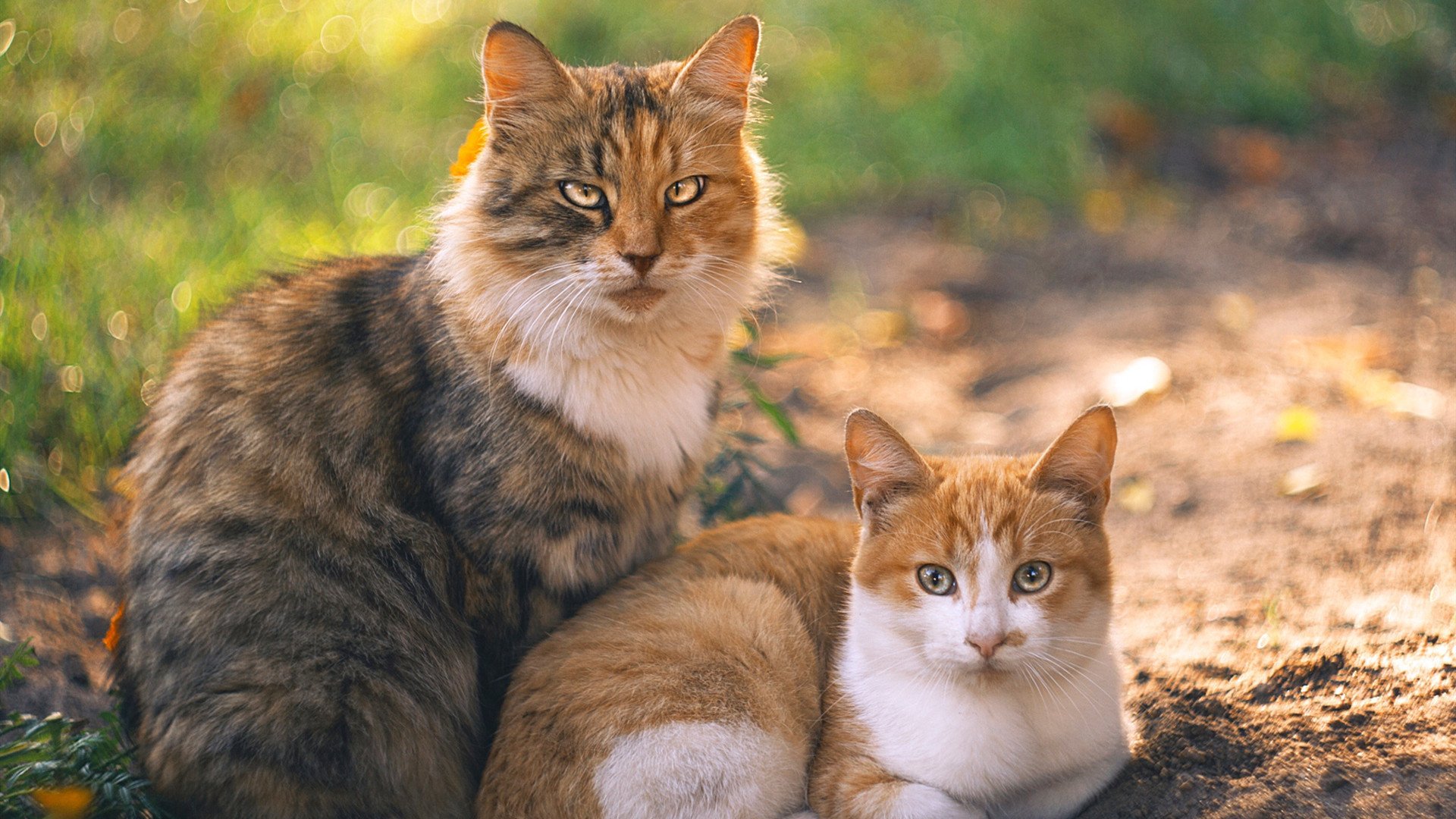 冰与火之歌,欧冠决赛夜与德罗赞关键战的共同本质