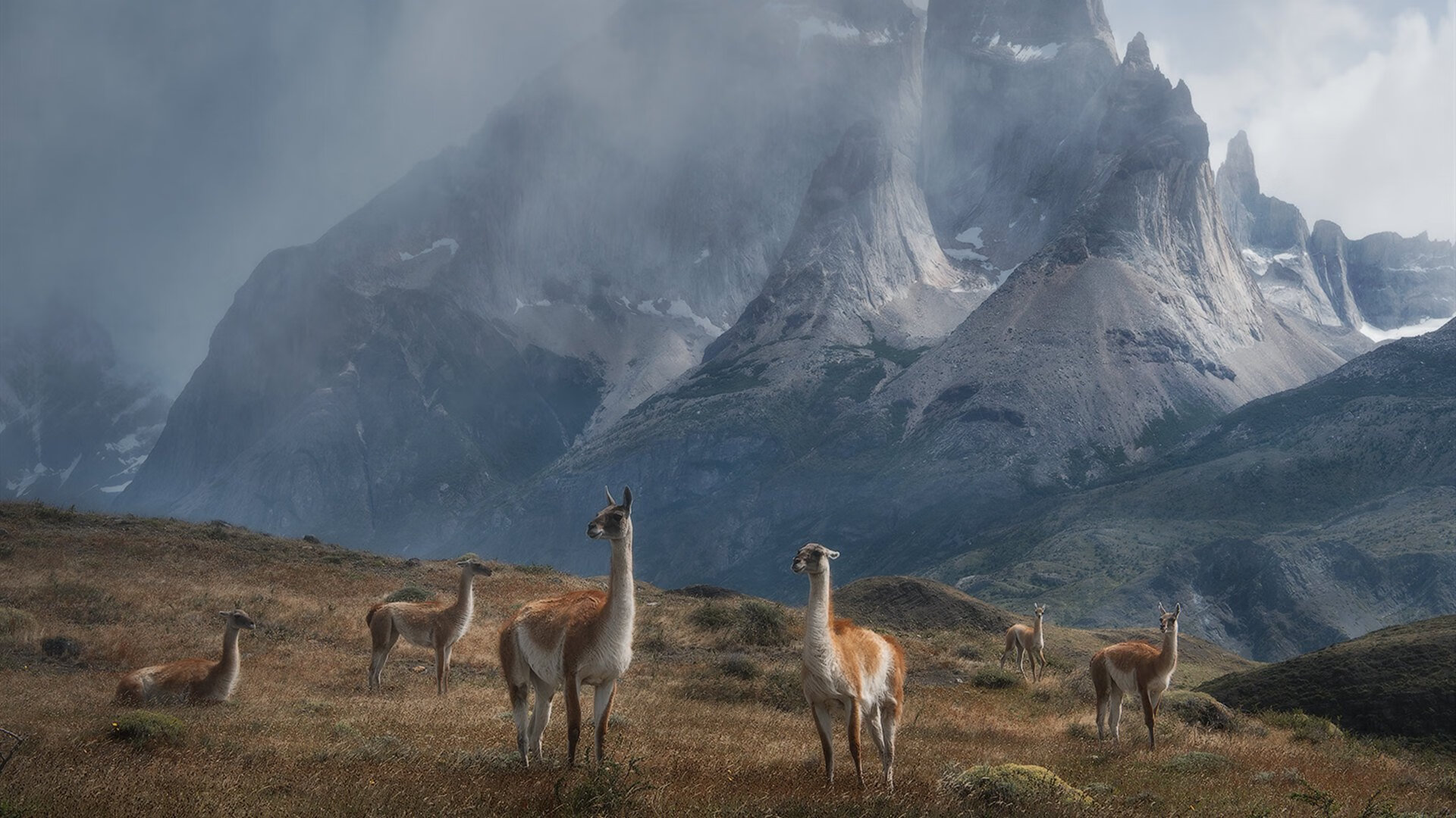 开云体育官方网站-雷恩力克阿尔及利亚，厄德高舞动中场主宰节奏