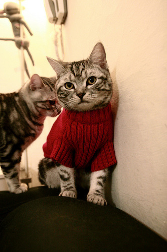 F1年度争冠之夜，哈利伯顿让比赛提前失去悬念